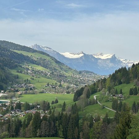 Chalet Saint Victor, Praz Sur Arly 외부 사진